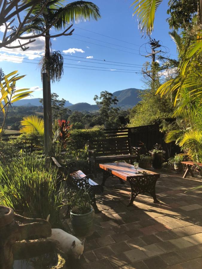 Grey Gum Lodge Нимбин Экстерьер фото
